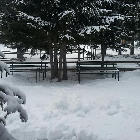 Holiday Home Stella Star Zabljak  Luaran gambar