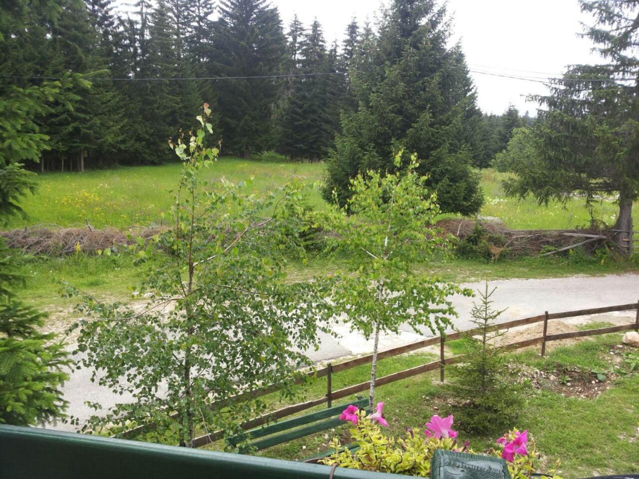 Holiday Home Stella Star Zabljak  Luaran gambar