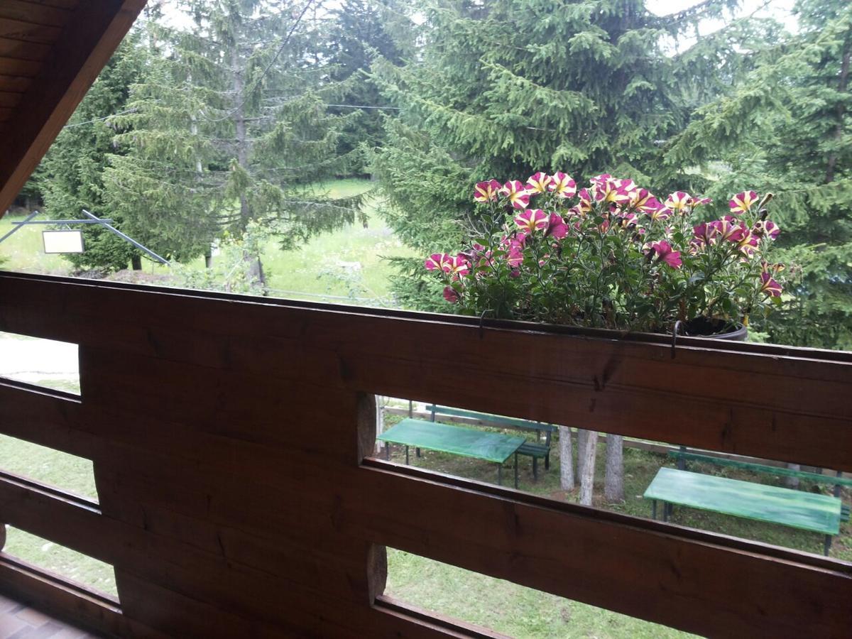 Holiday Home Stella Star Zabljak  Luaran gambar