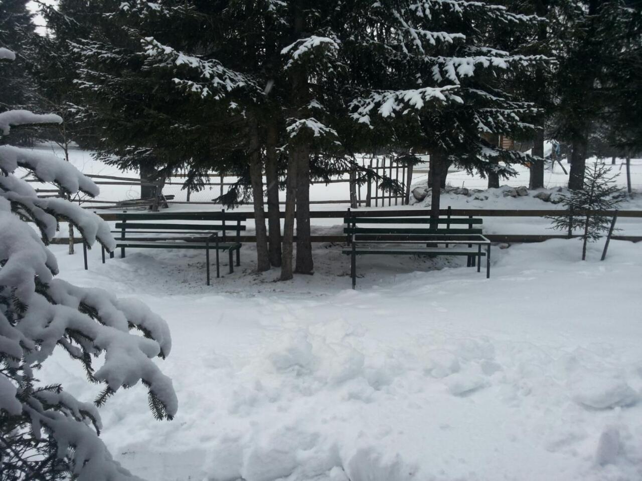 Holiday Home Stella Star Zabljak  Luaran gambar