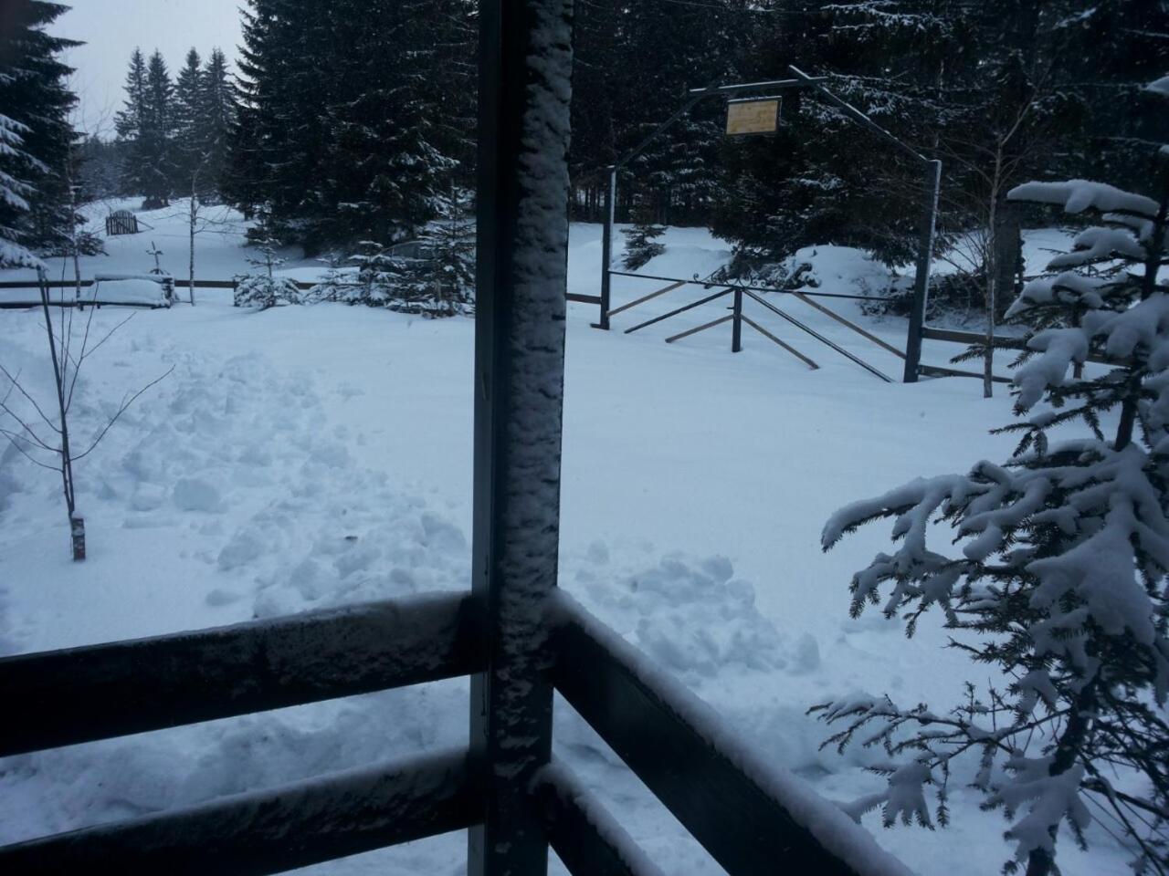 Holiday Home Stella Star Zabljak  Luaran gambar
