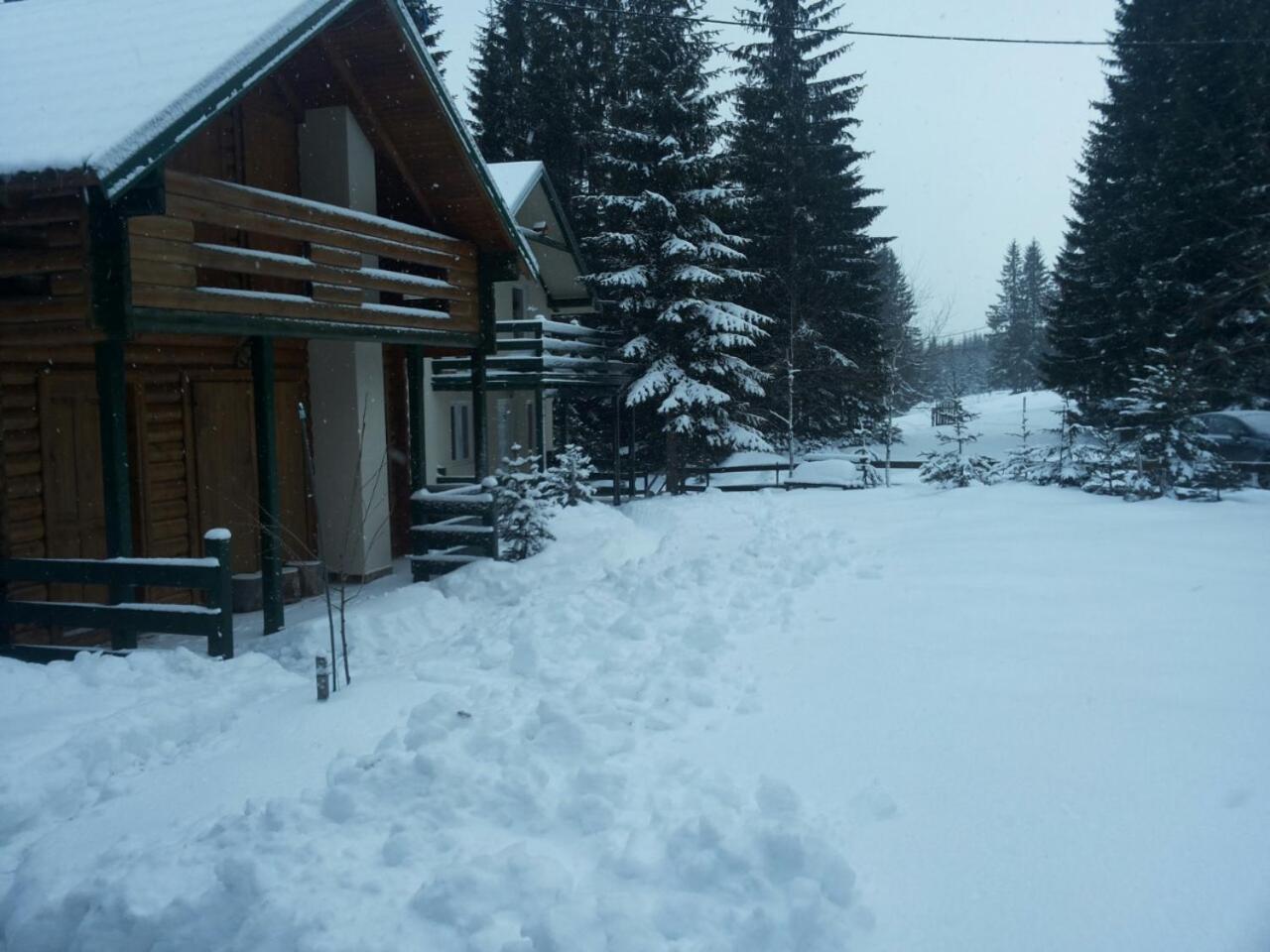 Holiday Home Stella Star Zabljak  Luaran gambar